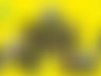 European Shooting Stars unveiled