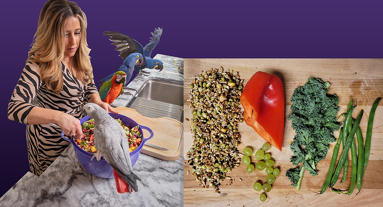 parrotsrus raw parrot food IMG_2452.png