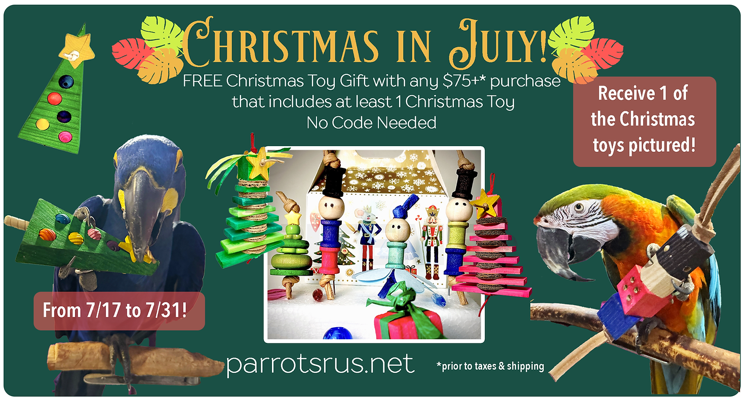 christmasinjulybanner (1).png
