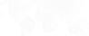 bg-image-6.png