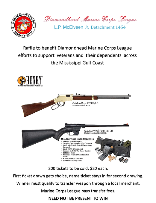 Gunrafflebrochure.png