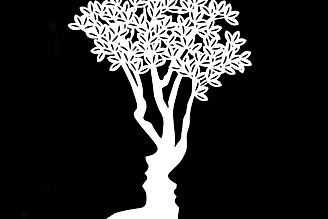 tree illusion.jpeg