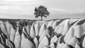 踏み込んだら修羅