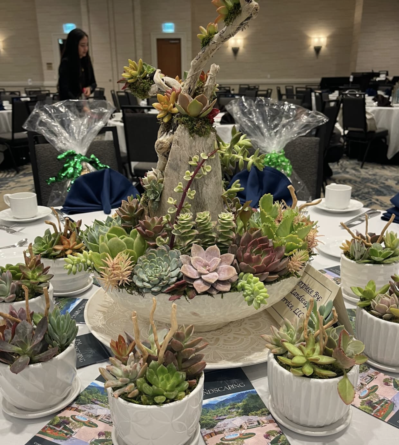 Saini Succulent Studio