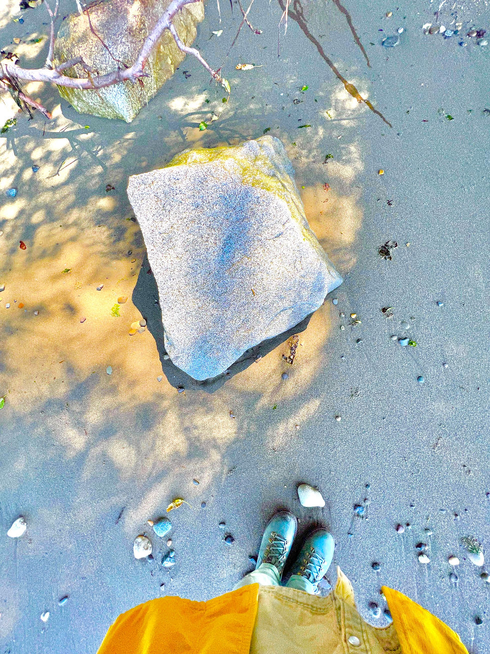           I  Want  To  Fall  in  Love                       With  the Whole  Wide  World  Again.	              