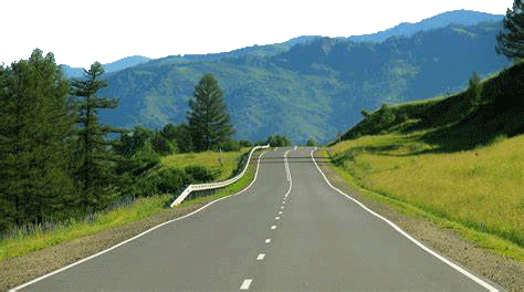 PitManueverGIF.gif