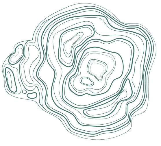 Abstract Graphic of a shape of multiple circular lines in dark green.