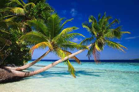 Luxury Yacht Charter - Catamaran Cabin Charter - French Polynesia - Taha