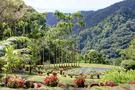 Luxury Yacht Charter-Guadeloupe-tropical