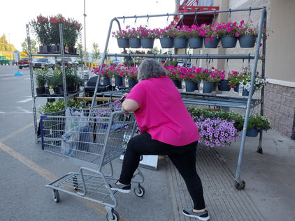Grocery Shopping With Knee Pain