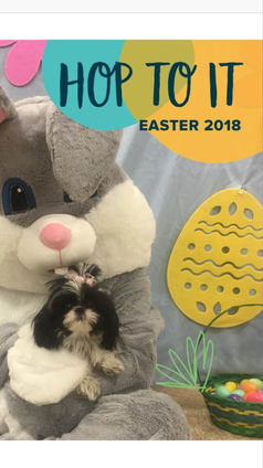 Juliette easter bunny.jpg