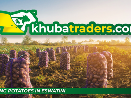 POTATOES IN ESWATINI