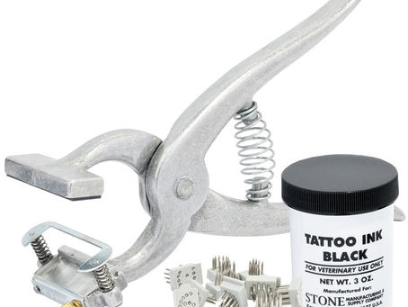 TATTOOING OF CATTLE & GOATS – 2025