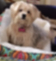 Ellie