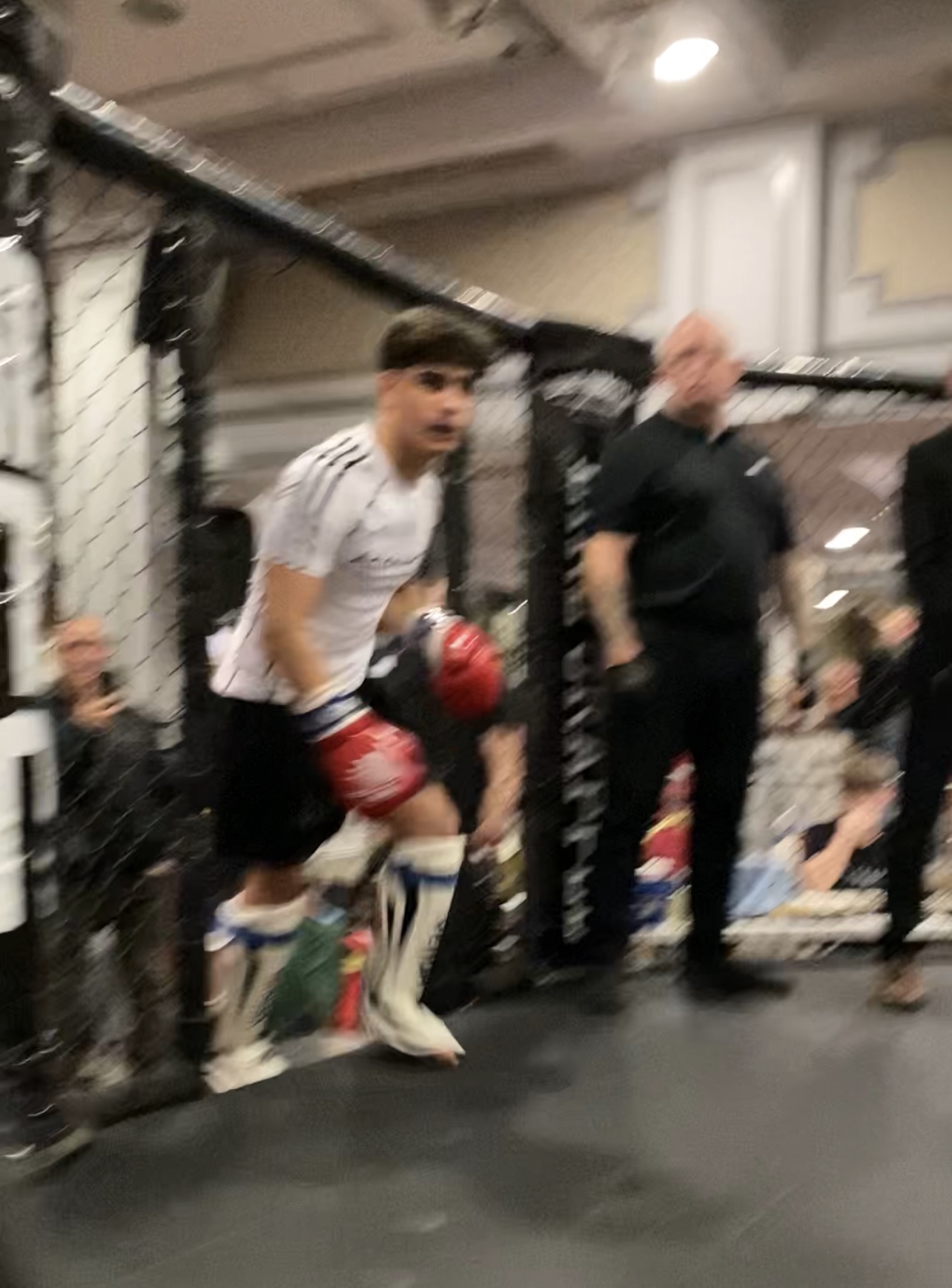 Writer: Aleko Gogiashvili