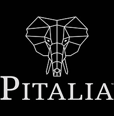 Silver Logo on black background.jpg