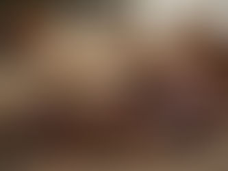 Opened cacao pods, cinnamon sticks, and dried roots on a rustic wooden table, with blurred potted plants in warm light.