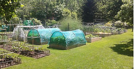 Urban Homesteading - Not Just Hippies with Cellphone