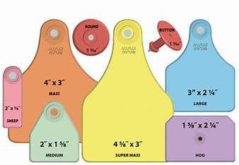 Allflex Ear Tags