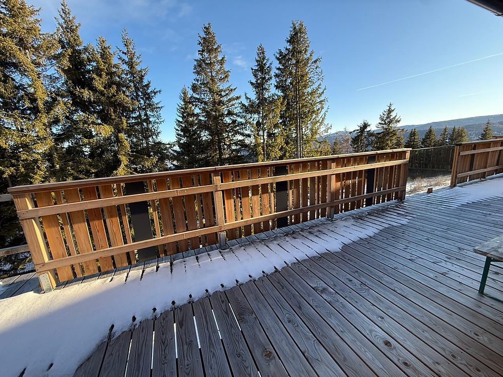 WhatsApp Image 2026-04-10 at 09.27.08 (11).jpeg