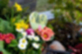 AdobeStock_39978288__msi___jpg.jpg