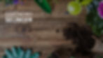 Website.jpeg