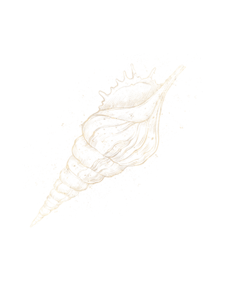 Kopie von LDC - Spiritual Coach - Gold Collection 1080 x 1350 px (Instagram Post (45) (102