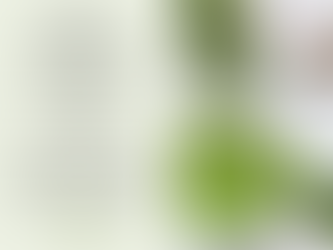 Supercharge Your Health with This Amazon Green Drink Recipe