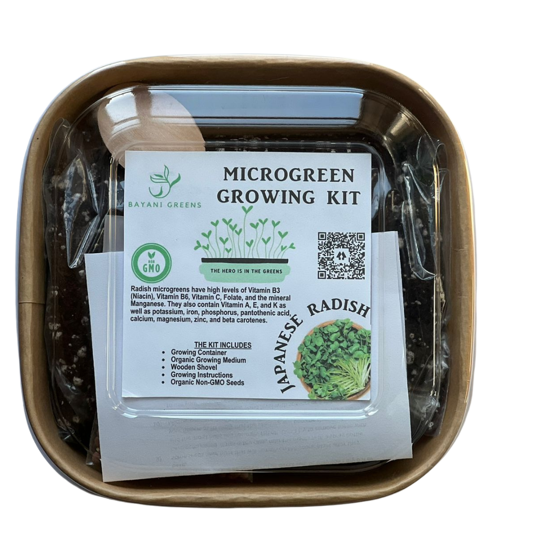 Japanese Radish Microgreen Growing Kit