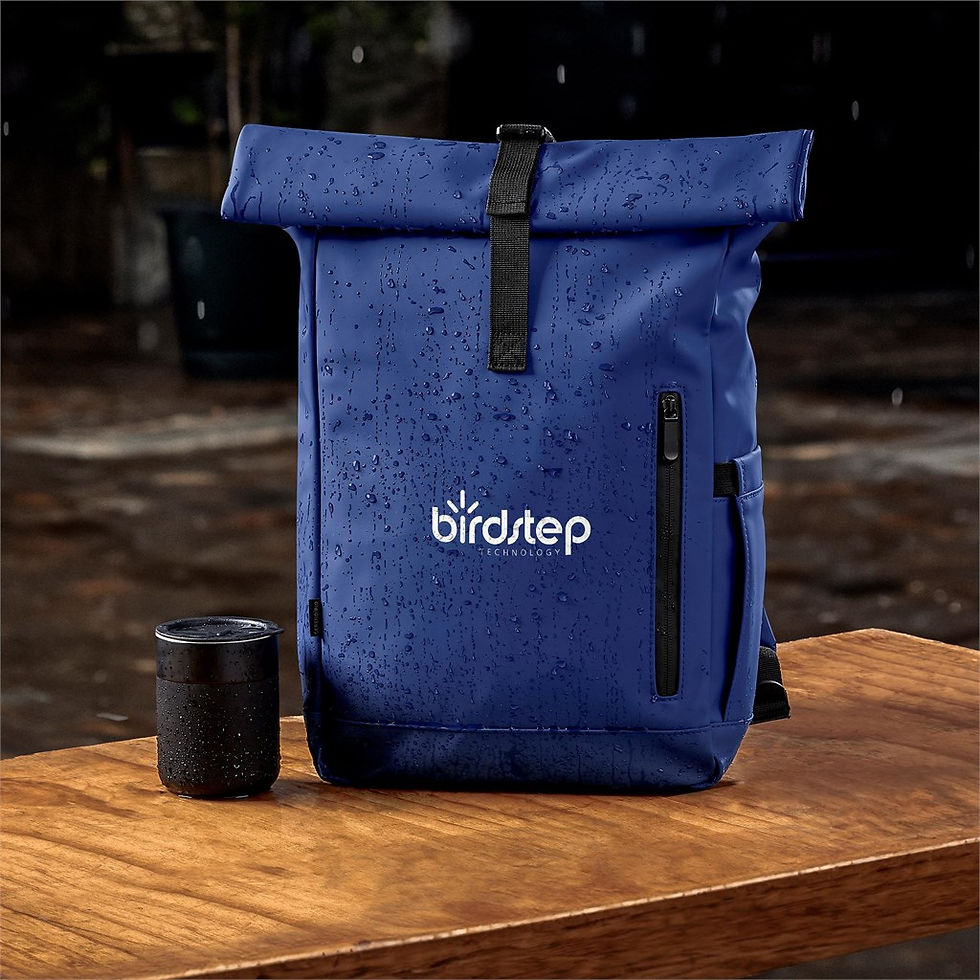Thumbnail: Serendipio Highveld Laptop Backpack