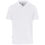 Thumbnail: Mens Okiyo Tenyo Recycled Golf Shirt