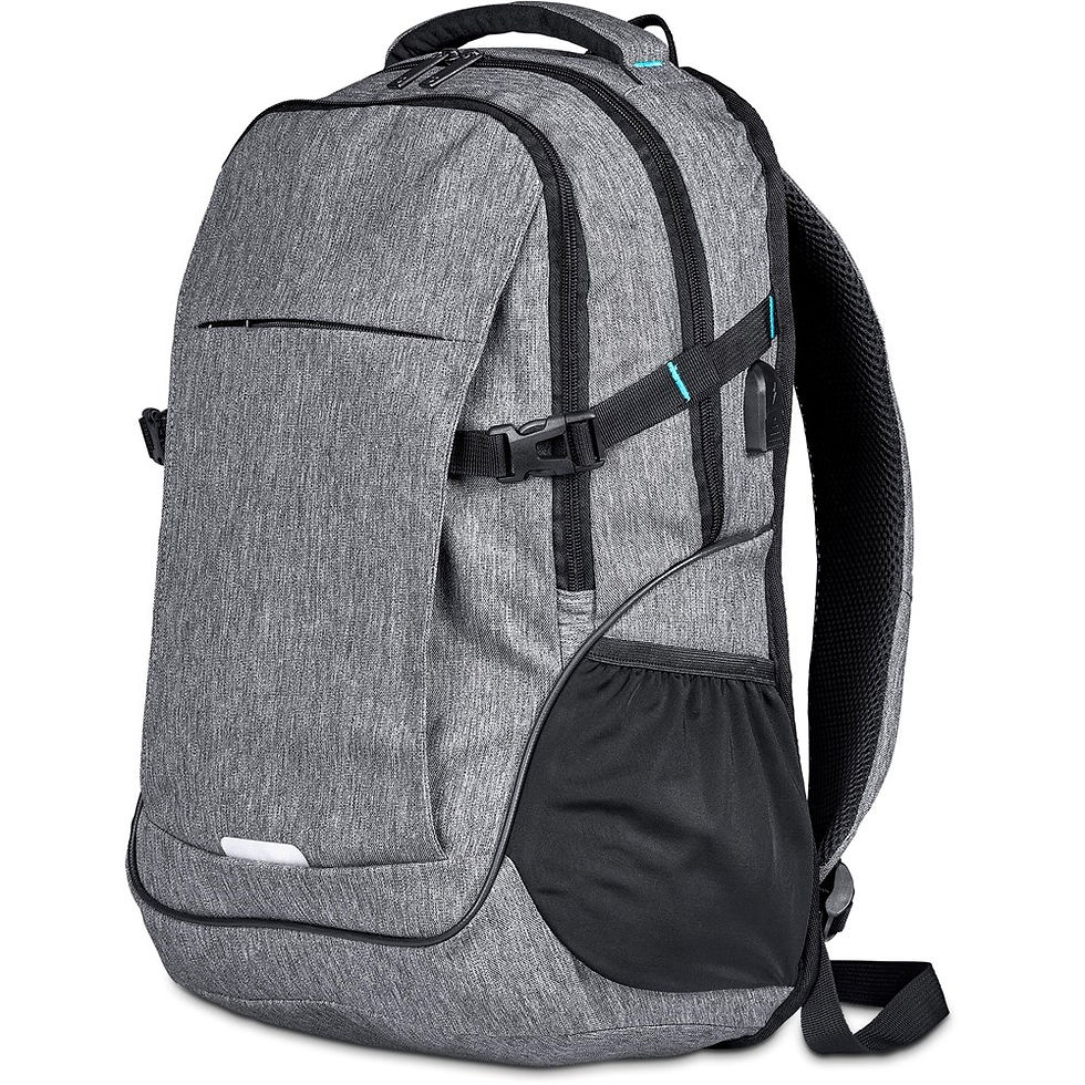 Thumbnail: Serendipio Urban Ultra Laptop Backpack