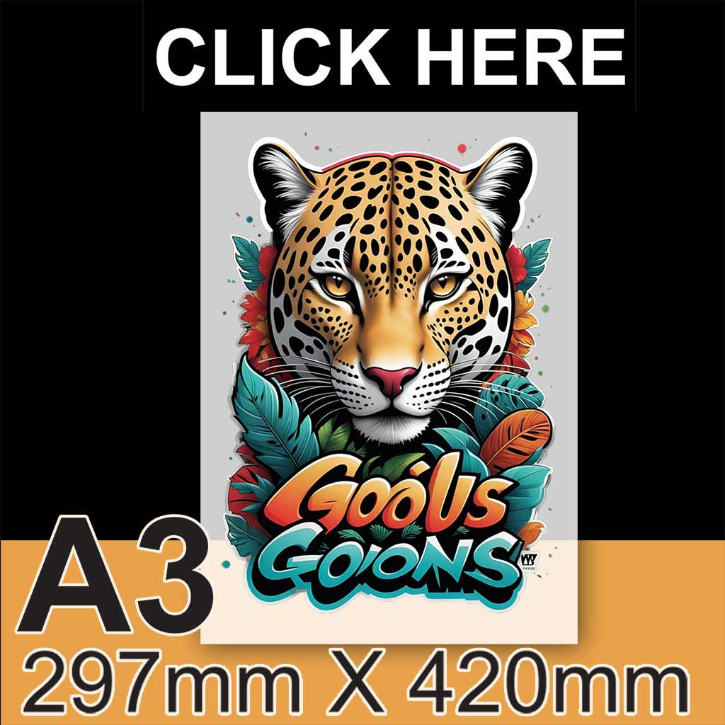 Custom A3 (297mm x 420mm) DTF Sheet