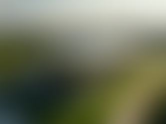 Top Completed Projects in Eco-Friendly Real Estate