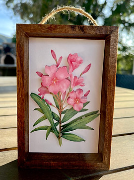 pink oleander flower painting diorama