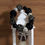 Thumbnail: Black & Silver Beaded Bracelet