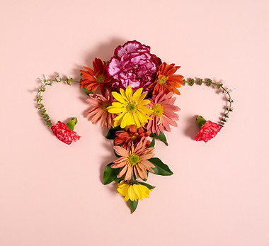 Síndrome dos ovários policísticos.jpg