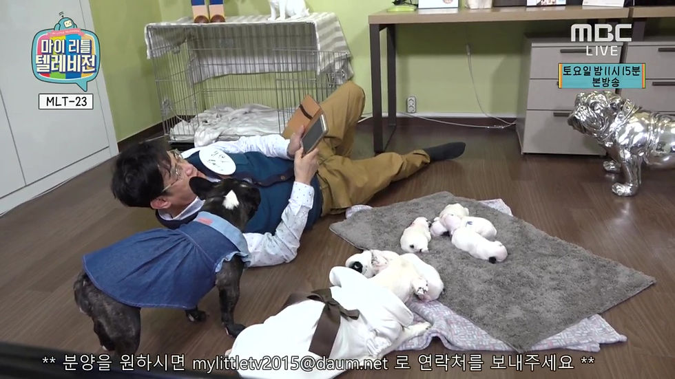 마리텔 이경규 뿌꾸 꾸마