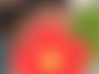 No edges, a book and Hope! - 2020