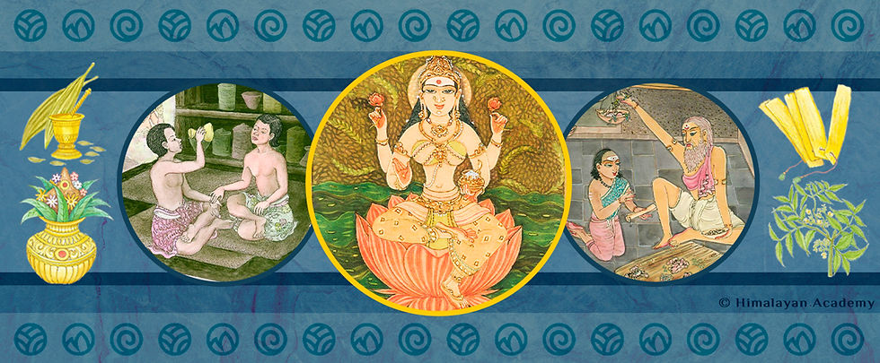 Savitri Vidya - Banner Ayurveda.jpg