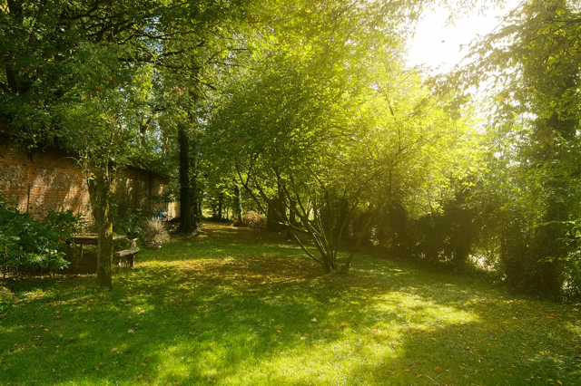 jardin de la villa EDEN 