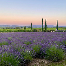 WhatsApp Image 2024-11-17 at 00.04.26.jpeg