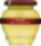 Dijon Mustard by Domaine des Terres Rouges