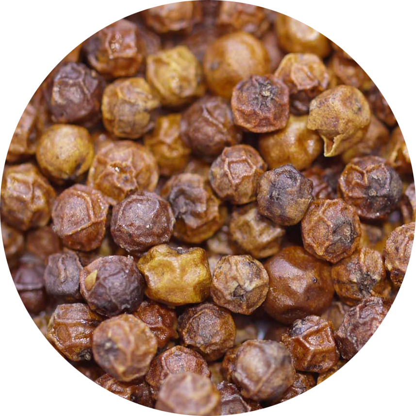 Red Peppercorn PGI Kampot Bulk, Place des Épices