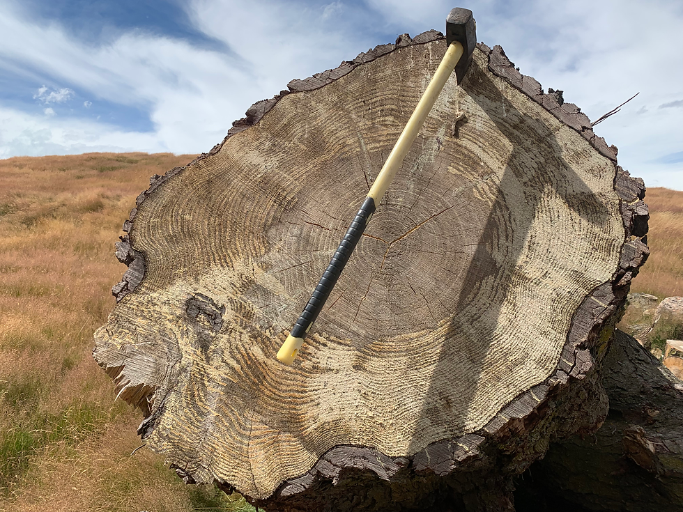 Thumbnail: Chopping Block (Large)