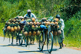Ananas i Tanzania