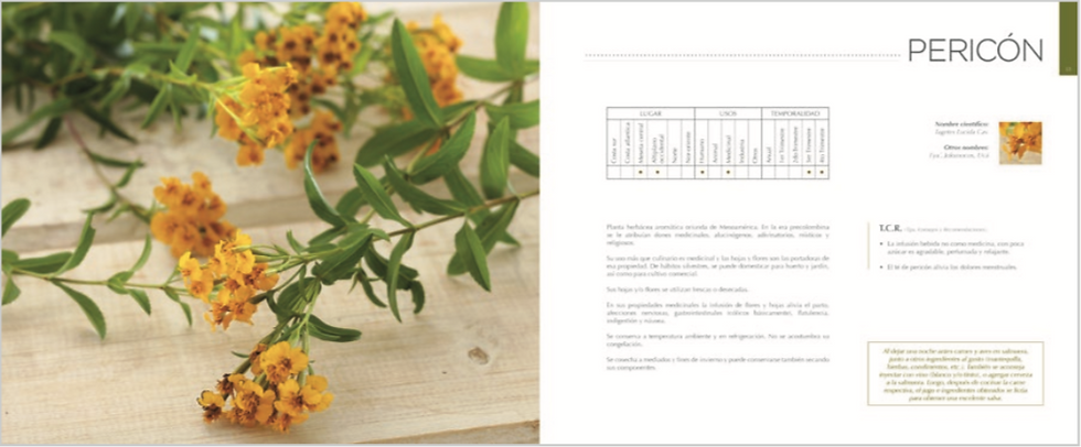 Thumbnail: Eterna Cosecha