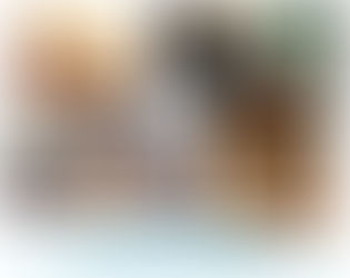 EKG - Präsenzbibliothek