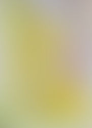 Toller Beitrag aus dem Unterricht