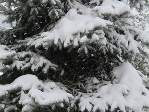 Κλειστά αύριο τα σχολεία στο Ωραιόκαστρο